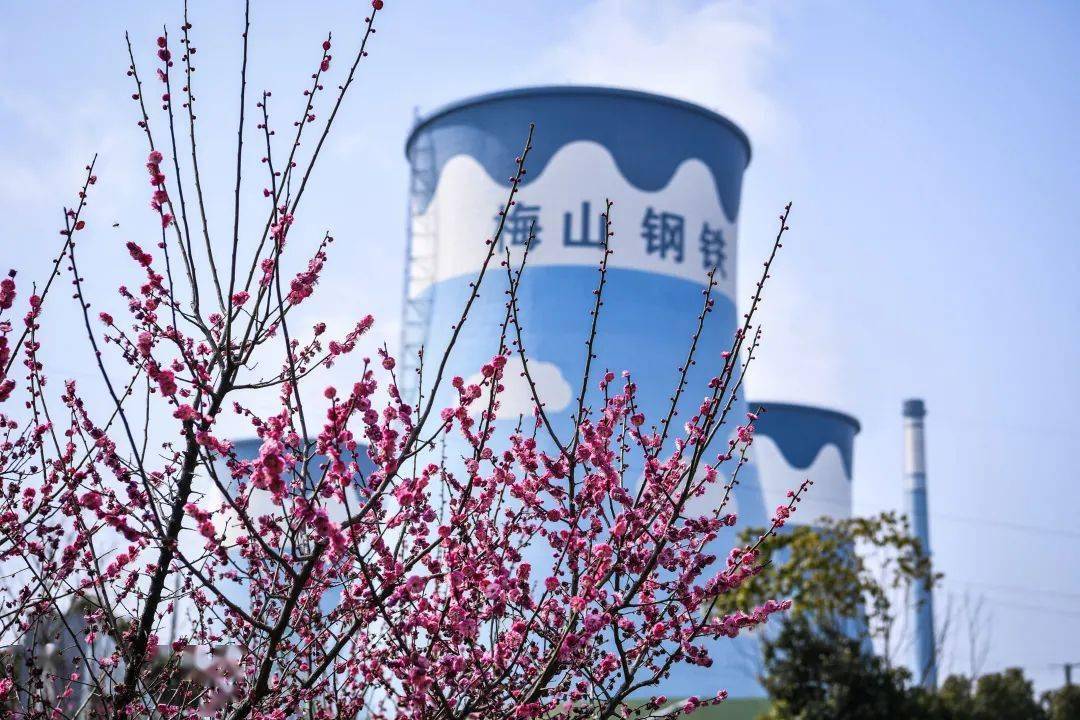热门 第203页