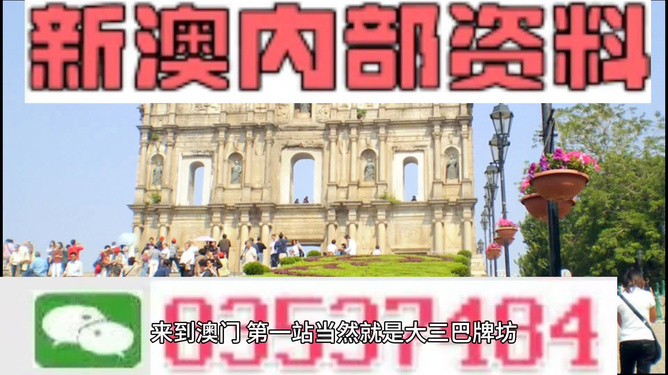 澳门正版资料全免费看|精选资料解析大全