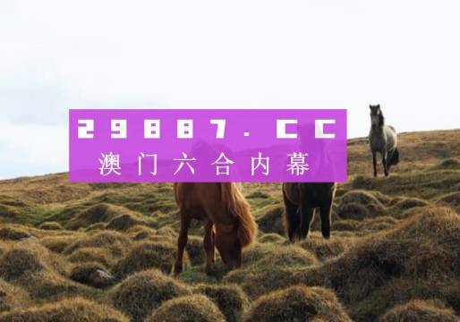 资讯 第21页